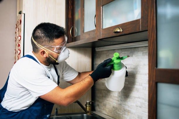 Best Pest Control for Restaurants  in Victoria, MS