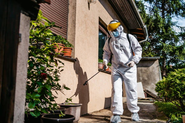 Best Pest Removal Services  in Victoria, MS