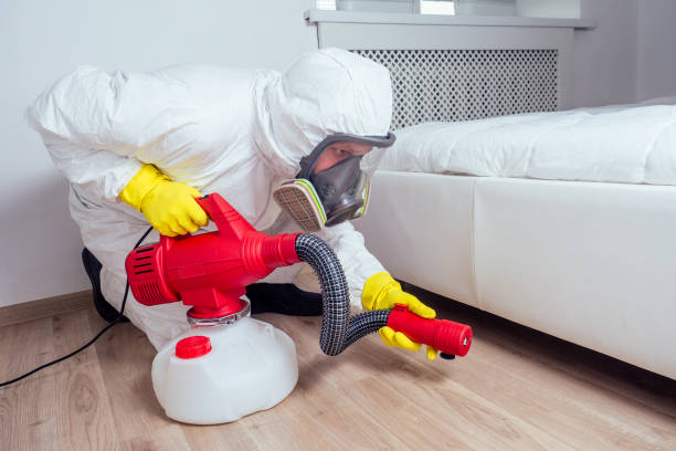 Trusted Victoria, MS Pest Control Experts