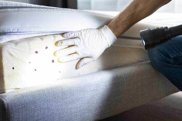 Best Pest Control Cost  in Victoria, MS