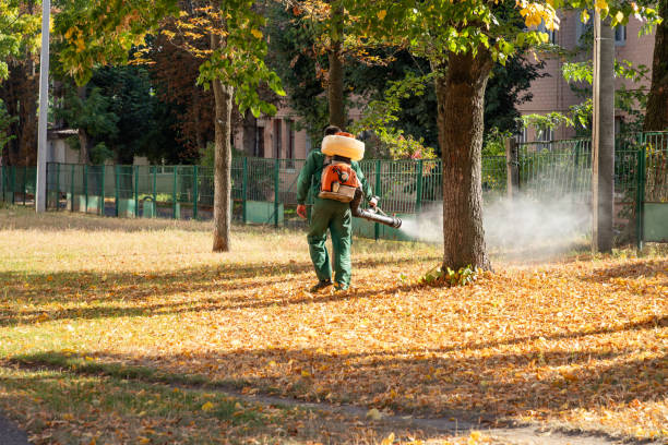Best Pest Removal Services  in Victoria, MS