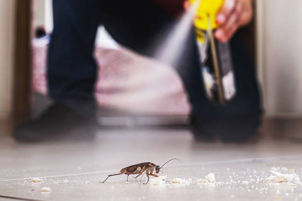 Best Wildlife Control Services  in Victoria, MS