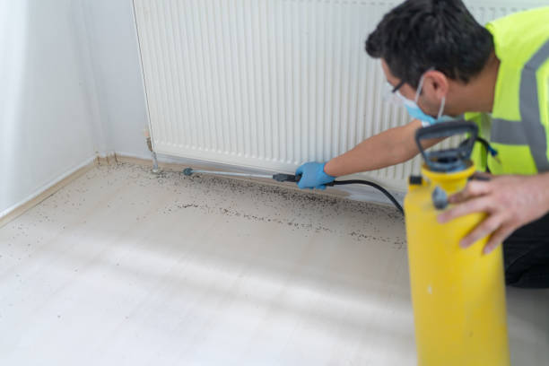 Best Exterminator Services  in Victoria, MS